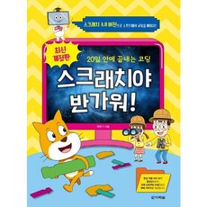 스크래치야 반가워!:20일 안에 끝내는 코딩, 다락원