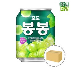 해태음료 포도봉봉 238ml (24캔), 24개