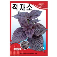 세인화분 국산 적자소 5g - 자소엽 차조기 깨 씨 씨앗 채소 야채, 1개