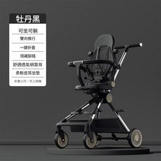 DZTZH 嬰兒手推車 可坐可躺 雙向推行, 低配款-牡丹黑