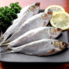 남해 제철 가을 급냉 전어, 6개, 500g