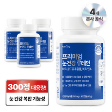 뉴트리정 프리미엄 눈건강 루테인 대용량, 4개, 300정