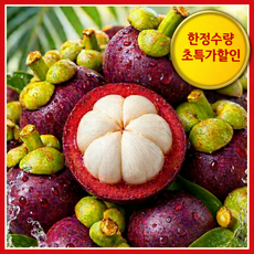 [한정수량초특가] 백화점납품 고당도 생망고스틴 [항공직송], 1개, 1kg(로얄과)