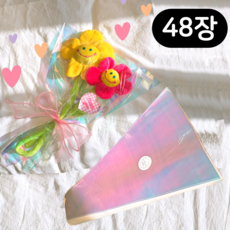 하리움 오로라 홀로그램 봉투형 꽃포장지 48장, 1개