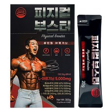 인포션 올인원 아르기닌 피지컬 부스터 15p, 300g, 1개