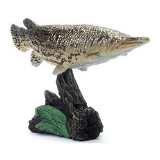 《$uper Toys》日版 生物大圖鑑 古代魚 活化石 魚類 模型, 1個, 雀鱔