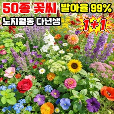 [빠른 발아] 사계절 개화 꽃밭 혼합 씨앗 노지 월동 다년생 꽃 씨앗 4계절 봄꽃 씨앗 개화 꽃씨 모음 TENFOC, 2개