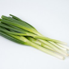 [씽씽팜] 국민 식재료 알싸한 국내산 대파, 1개, 6kg