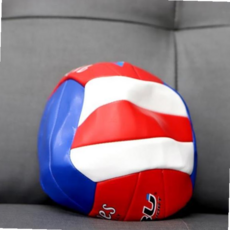 공 컬러배구공 장난감공 라 육공 배구공 고무공