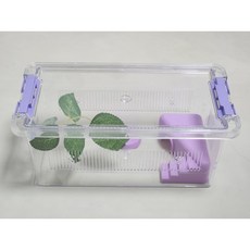 조이클린케이지 중형 사육통 달팽이 도마뱀 크랩 투명 사육장, 1개, 조이클린 중형 블랙