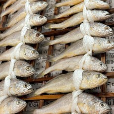 농가살리기 정품 영광 법성포 참굴비, 1개, 1kg 내외 (20미 내외)