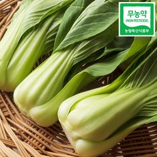 친환경 무농약 청경채 4kg, 1박스