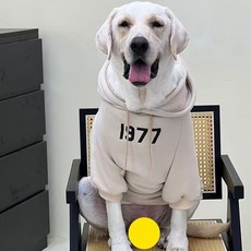 寵物狗狗秋冬衣服 純色連帽 加絨套頭 狗狗衛衣 復古大型犬衣服 狗狗衣服 寵物衣服 狗冬季衣服 狗衣服, (大型)杏色, 1個