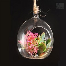 흥부박씨 테라리움 투명볼 캔들워머데코볼, 10cm