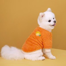 투니스 강아지 스플라이싱 퍼 긴소매 티셔츠, 오렌지, 1개