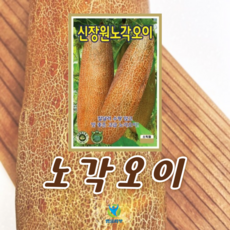장원노각 오이 씨앗 (50립) 종묘 종자 민속나물 노각 오이 씨 영웅 KS, 1개