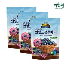 냉동 와일드블루베리 400g x 3팩