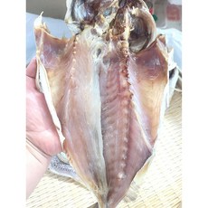 특대 반건조 민어 400g 내외 살집 두툼 손질 완료 (속초 가공), 1개, 특대 400g(1미)