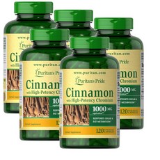 퓨리탄스프라이드 시나몬 위드 하이포텐시 크롬 2000mg 캡슐 Puritans Pride Cinnamon Chromium, 5개, 120정