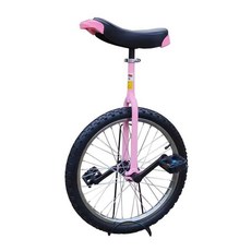 특수자전거 외발 자전거 한발 묘기 입문용 성인 어른 한바퀴 밸런스 근육 운동 묘기자전거, 1개, 12인치 블루 스탠드 펌프