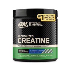 Optimum Nutrition 미립자 크레아틴 모노하이드레이트 파우더 블루베리 레모네이드 크레아틴 60회분 360g(포장은 다를 수 있음), 360g, 1개