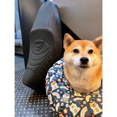 MTRT 沙發坐墊 麂皮 夜光LOGO 開模坐墊 機車坐墊 適用於AUGUR 歐格 阿格, 1個