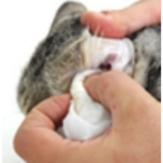 강아지귀곰팡이 강아지중이염 강아지귀각질 고양이귀진드기 강아지외이염, 1개, 120g