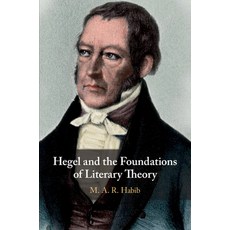 (영문도서) Hegel and the Foundations of Literary Theory Paperback, Cambridge University Press, English, 9781108457859
