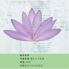 天然乾燥押花花瓣20片裝 手工藝材料 DIY裝飾配件, 睡蓮花瓣B