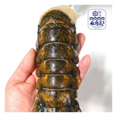 씨토랑 캐나다 랍스터테일 1미 마리당 110-120g