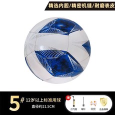 官方正品耐磨耐踢足球學生中學生世界盃專業足球正版加厚PVC5號球, 1個, 加厚白藍送【氣針+網袋+打氣筒】