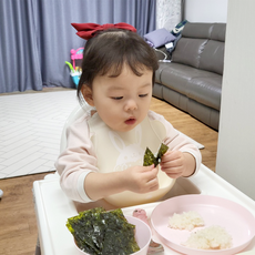 거문지리 국내산 신안 40년 전통 지주식 말뚝 곱창돌김 선물세트 조미김 아기반찬 프리미엄 파래김, 1개