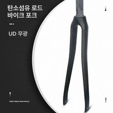 포크 풀카본 픽시자전거 출퇴근 싱귤러리티 트랙, 1개, 표시 없는 UD 랜덤 370g A