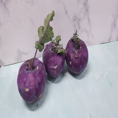 청정지역 제주 햇 싱싱한 콜라비 고당도 자색 콜라비 3KG 5KG 10KG, 5g, 1박스