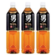 광동 남 진한 헛개차, 1.5L, 3개