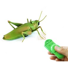 움직이는 라모컨 원격조정 메뚜기 장난감 키덜트장난감 남아 무선곤충