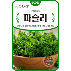 [주주씨앗] 파슬리 씨앗 500립 / 곱슬거림이 좋은 대표 요리용 허브 종자 / 허브씨 씨앗몰, 1개
