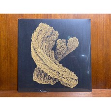 沐耳 英倫電子/IDM奇才 Max Cooper Emergence 經典第二張專輯 雙黑膠唱片