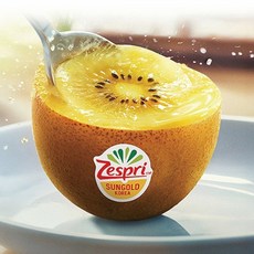 제스프리 제주 골드키위 특대과 4.2kg (30입 개당 140g내외), 30개