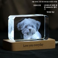 소울메모리볼 크리스탈공비디오 추억보관 크리스탈램프단품, 사각형 둥근 모서리 469 흰빛 3, 1개, 1TB