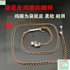 本町萌寵 台灣出貨 鷹具手工牛皮鷹腳絆袋鼠皮鷄眼扣腳環鳥鏈喜鵲烏鴉鳥用品 SCSR, 松子, 1個