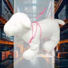 홀치기 가슴줄세트 12개입 1판 산책용품 목줄하네스 탈출방지 애견하네스 앞섬방지 소형견하네스