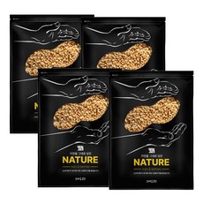 그대로푸드 볶음 분태땅콩 1 kg, 4개, 1kg