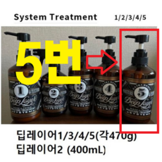 딥레이어 시스템 트리트먼트 1 2 3 4 5 본체 (옵션확인), 1개, 5R