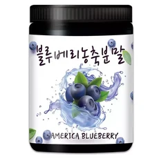 블루베리농축분말 300g, 1개