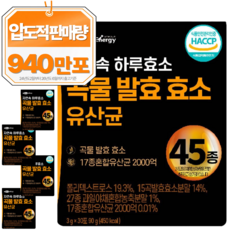 자연속 하루 효소 곡물 발효 효소 유산균 45종, 90g, 5개