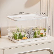 透明生態造景魚缸 桌面小型水族箱 烏龜曬臺爬臺飼養缸, 1個, 如圖