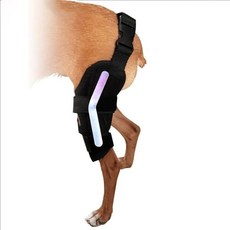 강아지 다리 보호대 무릎 예방 커버 개 뒷다리 관절 지지대 족저 양쪽에 특수 스프링 내장, 왼쪽 다리 / 내장형 금속 바 2개, 사이즈 2 허벅지 둘레 10-14, 종아리 둘레 5-9