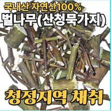 국산 자연산 벌나무 300g 봉화 산청목 가지, 1개, 1kg