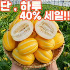 [재구매율1위] 단 하루 초특가 성주 참외 당도선별, 1개, 3kg